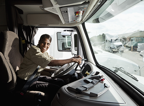 Professional Truck Driver