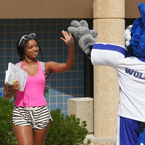 MCC Wolf and student high fiving