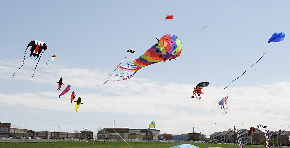 KiteFest