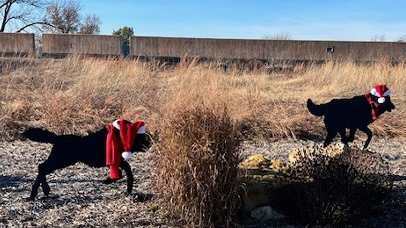 Metal wolves atop a roof at MCC-Maple Woods campus