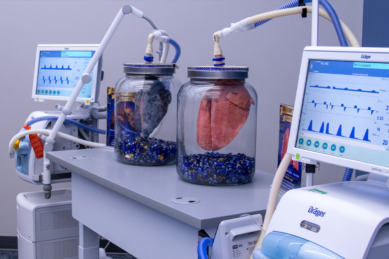 Respiratory Care Program Lab Equipment